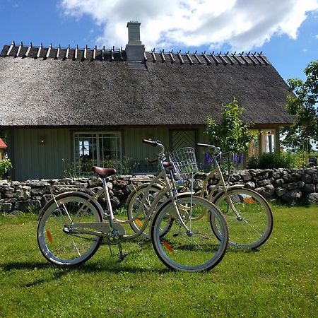 Hansi Puhkemaja Kuivastu Luaran gambar